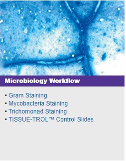 Microbiology Workflow